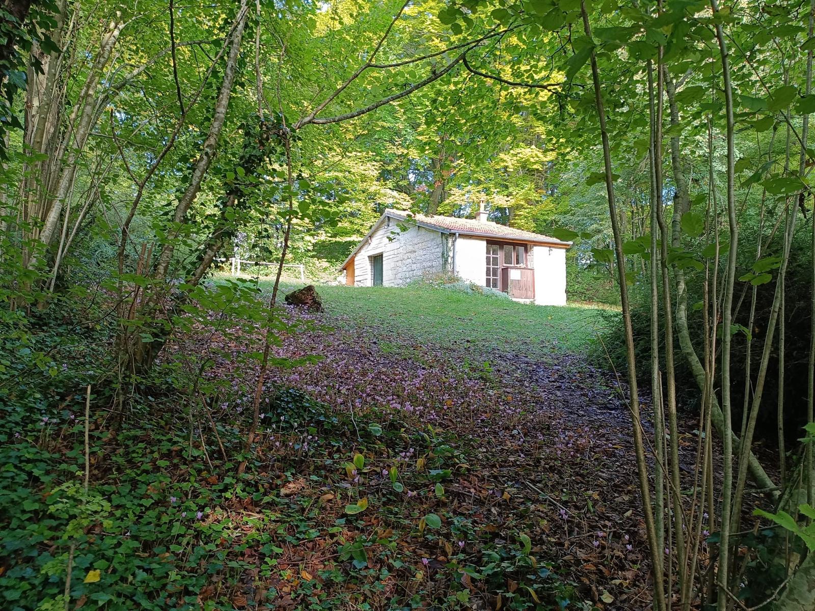 Bois de l'Hermitage